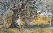 Samuel Palmer Oak Trees,Lullingstone Park oil painting on canvas